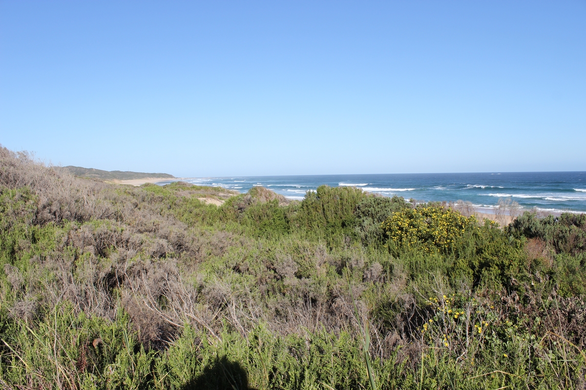 Suedafrika_2 (58a).JPG